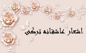 romantic2 turkish1 poems 300x187 اشعار ترکی عاشقانه به همراه ترجمه فارسی